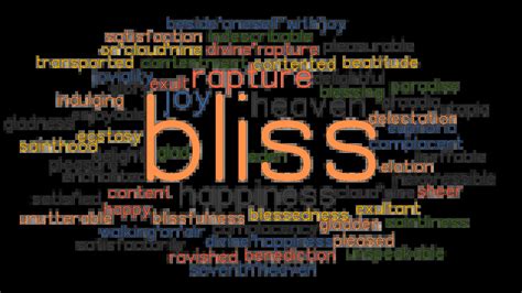 complete <b>bliss</b>. . Bliss synonyms